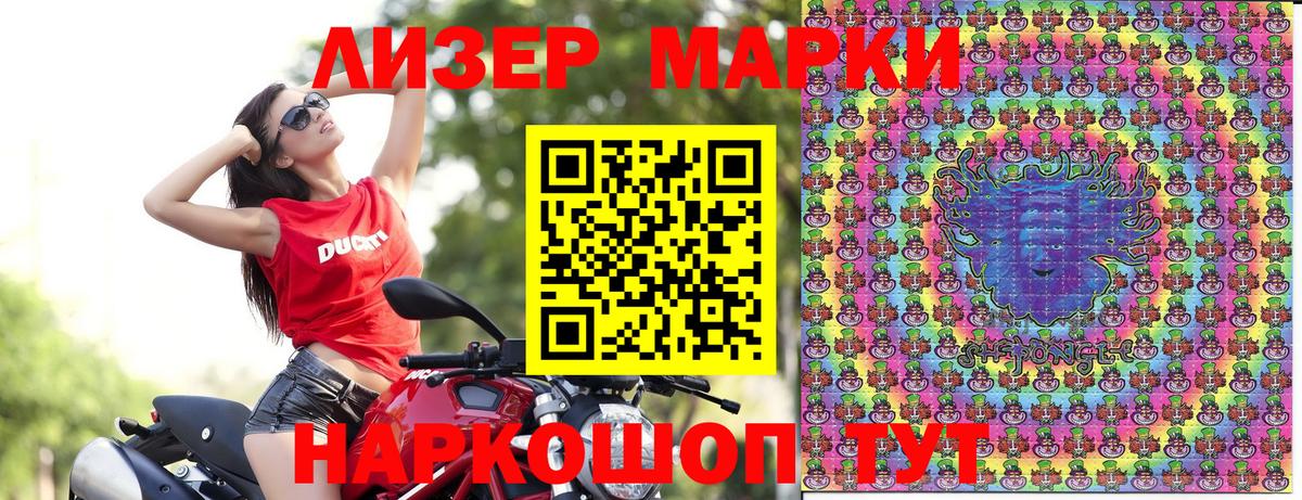 закладки  Вход с VPN  Славгород  Марки NBOMe 1500мкг 