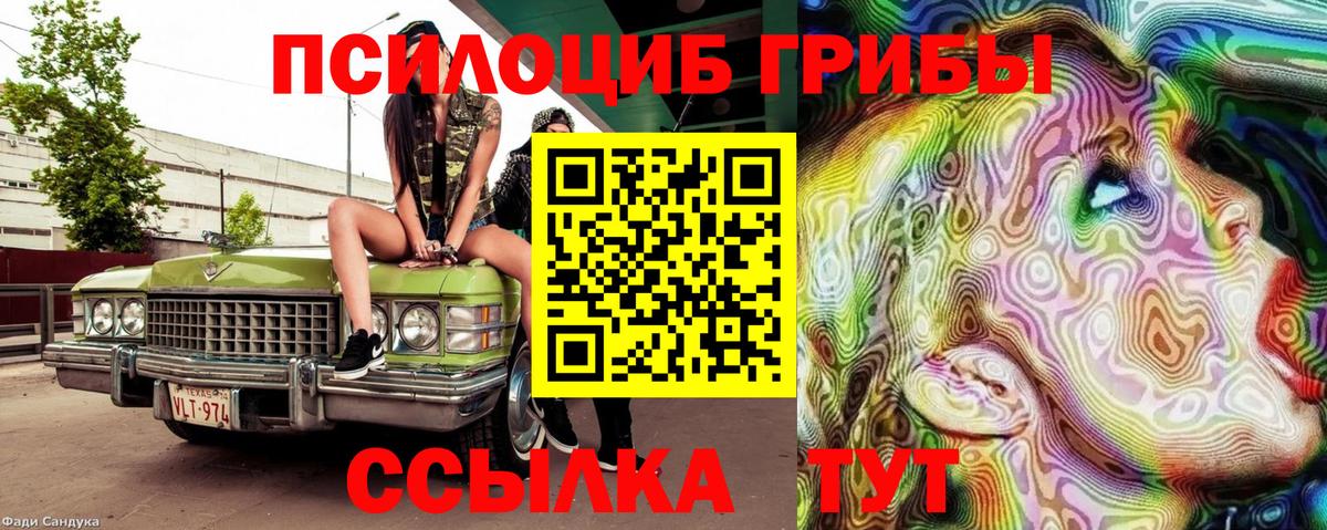 Галлюциногенные грибы Psilocybine cubensis Славгород