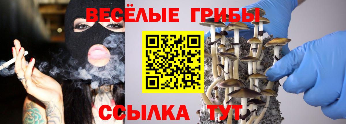 Галлюциногенные грибы Cubensis  даркнет сайт  Псилоцибиновые грибы Psilocybine cubensis  Славгород  Вход с VPN 
